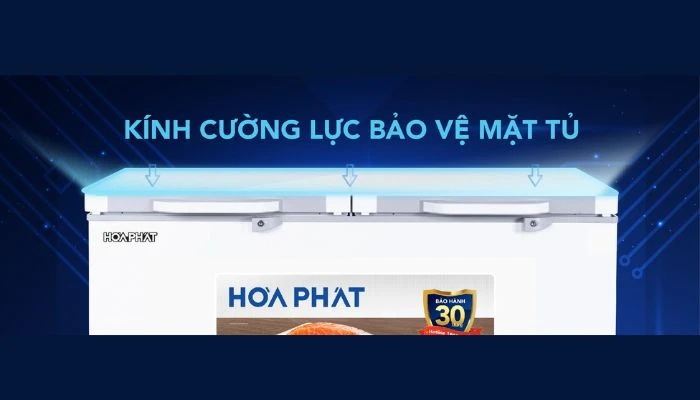 Tủ Đông Mát 245 Lít Hòa Phát HPF BD6245.T1